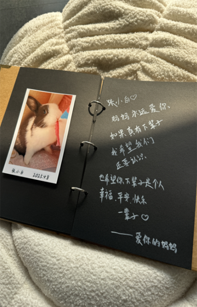 沈阳宠物水化